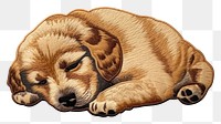 PNG Dog sleeping animal mammal puppy. 