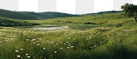 PNG Meadow in summer landscape grassland outdoors.
