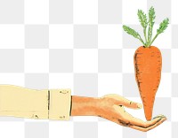 PNG  Risograph hands holding carrot vegetable plant green.