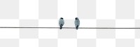 PNG Birds on electrical wire animal sky accipiter. 