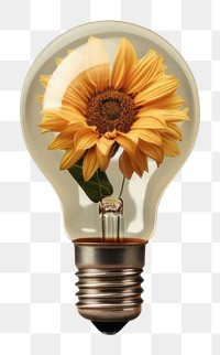 PNG  Light bulb with sunflower lightbulb innovation electricity.