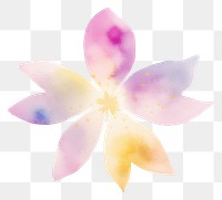 PNG Watercolor brush stroke flower and glitter petal plant inflorescence. AI generated Image by rawpixel.