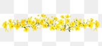 PNG Yellow flowers plant petal white background.
