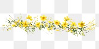 PNG Yellow flowers plant white background asteraceae.