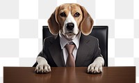 PNG Beagle animal furniture portrait.