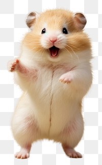 PNG  Hamster animal mammal rodent. AI generated Image by rawpixel.