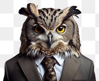 PNG Owl portrait animal photo