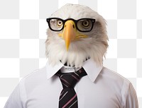 PNG Eagle animal shirt tie.