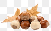 PNG  Hazelnuts vegetable plant food. AI generated Image by rawpixel.