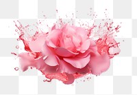 PNG Rose petal flower plant. AI generated Image by rawpixel.