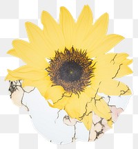 PNG Sunflower marble distort shape petal plant white background.