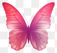 PNG  Abstract blurred gradient illustration butterfly petal pink white background.