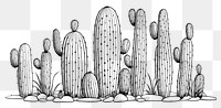 PNG A cactus sketch drawing plant.