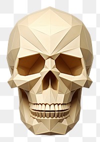 PNG Paper skull art white background anthropology.