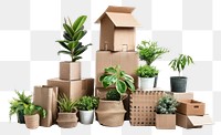 PNG Move to new house cardboard carton plant.