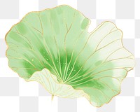 PNG Chinese lotus leaf green plant petal food.