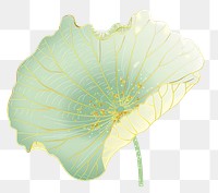 PNG Chinese lotus leaf greenor yellow flower plant petal.