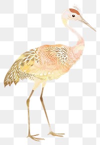 PNG Crane chinese stand to animal bird white background.
