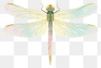 PNG Dragonfly insect animal white background.