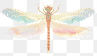 PNG Dragonfly animal insect white background.