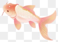 PNG Koi fish straight face goldfish animal white background.