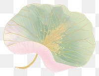 PNG Lotus leaf plant white background proteales.
