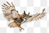 PNG A Great Horned Owl gracefully spreading its wings while clutching a mouse in its talons owl drawing animal.