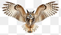 PNG A desert owl gracefully spreading its wings with talons extended animal bird white background.