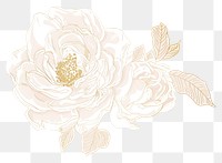 PNG Rose flower chinese pattern drawing sketch.