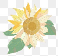 PNG Sunflower chinese plant art white background.