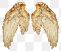 PNG Angel wings bird archangel feather.