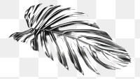 PNG Basic 3d solid tropical leave Chrome material silver leaf white background.