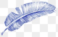 PNG Realistic ballpoint pen drawing vintage drawing banana leaf sketch plant blue.