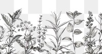 PNG Realistic pencil vintage drawing as a border graphic spices and herbs sketch graphics pattern.