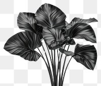 PNG 3d render of tropical leave matte black material flower plant illustrated.