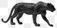 PNG 3d render of leopard matte black material wildlife cheetah mammal.