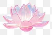 PNG Water lily jewelry flower petal.