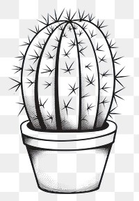 PNG Cactus outline sketch plant white background houseplant.