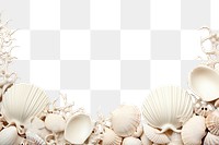 PNG Shell backgrounds seashell white background.