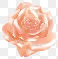 PNG Pastel Rose gold icon rose flower petal.