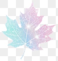 PNG Maple leaf icon maple plant tree.