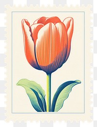 PNG  Tulip Risograph style flower plant inflorescence.