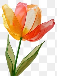 PNG Tulip made from polythylene flower petal plant.