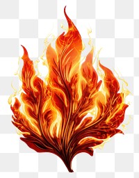 PNG Bonfire flame plant leaf.