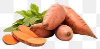 PNG Sweet potato vegetable carrot plant.