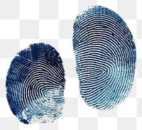 PNG Blue fingerprints invertebrate studio shot seashell.