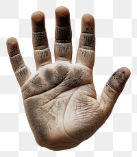 PNG Finger hand palm studio shot.