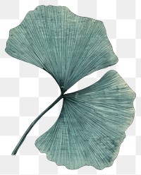 PNG Japanese wood block print illustration of ginkgo leaf plant textured pattern