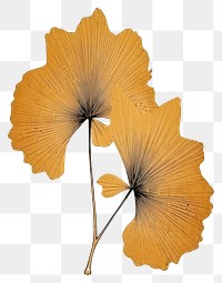 PNG Japanese wood block print illustration of ginkgo leaf flower plant art.