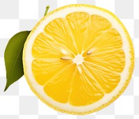 PNG Fresh lemon grapefruit plant food.